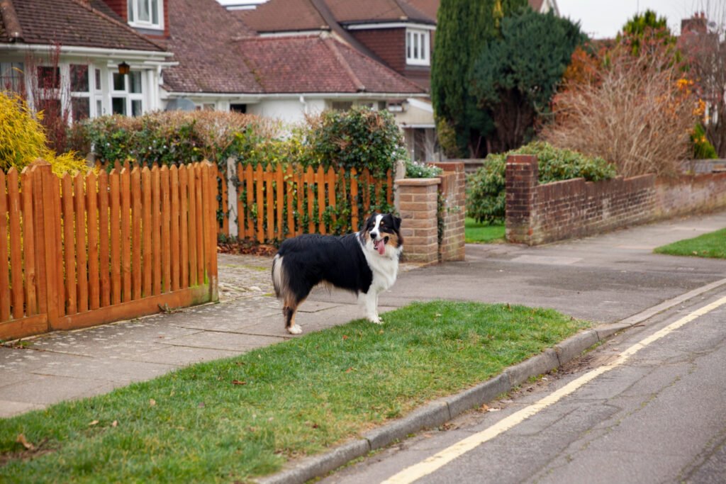 home curb